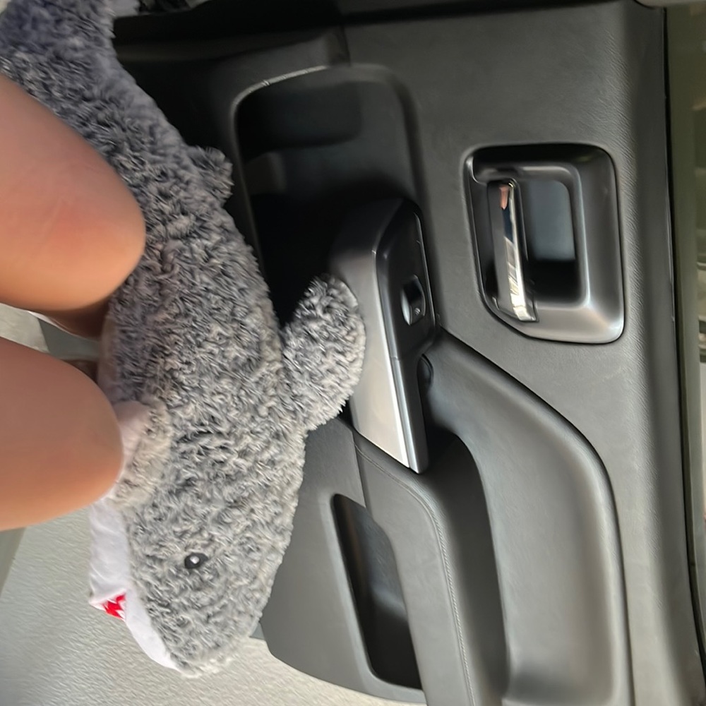 Cute shark stuffed animal!!🧸